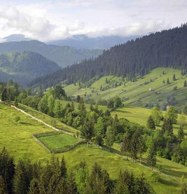 Описание изображения